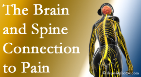 Lombardy Chiropractic Clinic shares at the connection between the brain and spine in back pain patients to better help them find pain relief.