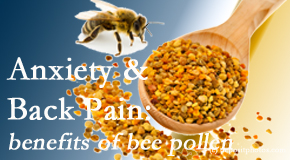 Lombardy Chiropractic Clinic shares info on the benefits of bee pollen on cognitive function that may be impaired when dealing with back pain.