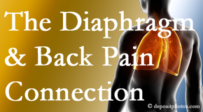 Lombardy Chiropractic Clinic knows the relationship of the diaphragm to the body and spine and back pain. 