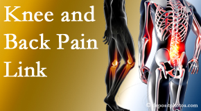 Lombardy Chiropractic Clinic treats back pain and knee osteoarthritis to help avert falls.