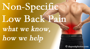 Lombardy Chiropractic Clinic describes the specific characteristics and treatment of non-specific low back pain. 