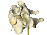 cervical spine no pain with Augusta chiropractic