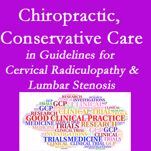 Augusta chiropractic care for cervical radiculopathy and lumbar spinal stenosis is often ignored in medical studies and guidelines despite documented benefits. 