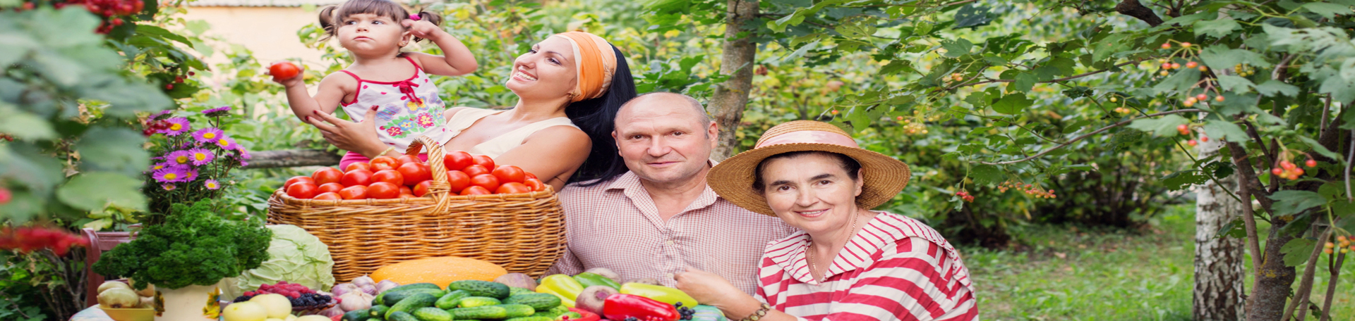 Augusta chiropractic summer health tips