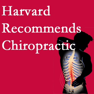 Lombardy Chiropractic Clinic offers chiropractic care like Harvard recommends.