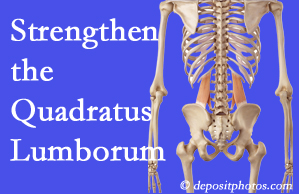 Augusta chiropractic care proposes exercise recommendations to strengthen spine muscles like the quadratus lumborum as the back heals and recovers.
