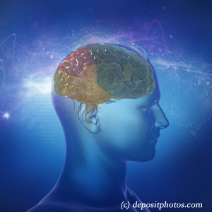 image of a brain for cognition influenced by balance that Augusta chiropractic can help