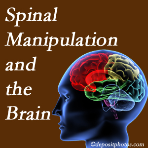Lombardy Chiropractic Clinic [shares research on the benefits of spinal manipulation for brain function. 