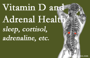 Lombardy Chiropractic Clinic shares new studies about the effect of vitamin D on adrenal health and function.